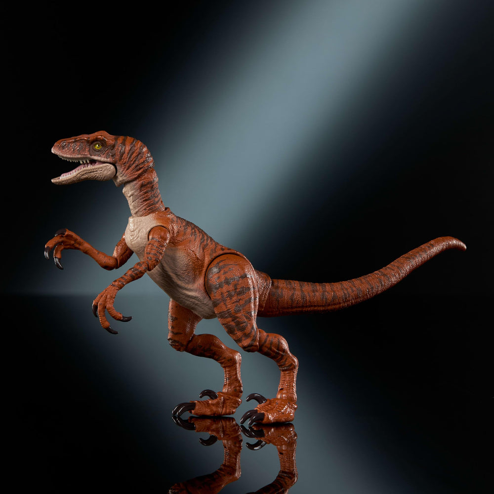 Mattel Jurassic World Hammond Atrociraptor Tiger 8.3-inch figure ideal for shelves.