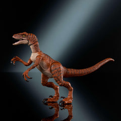 Mattel Jurassic World Hammond Atrociraptor Tiger 8.3-inch figure ideal for shelves.
