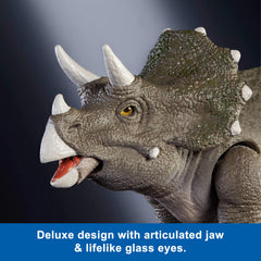 Removable tail feature for varied display options of the Hammond Triceratops.