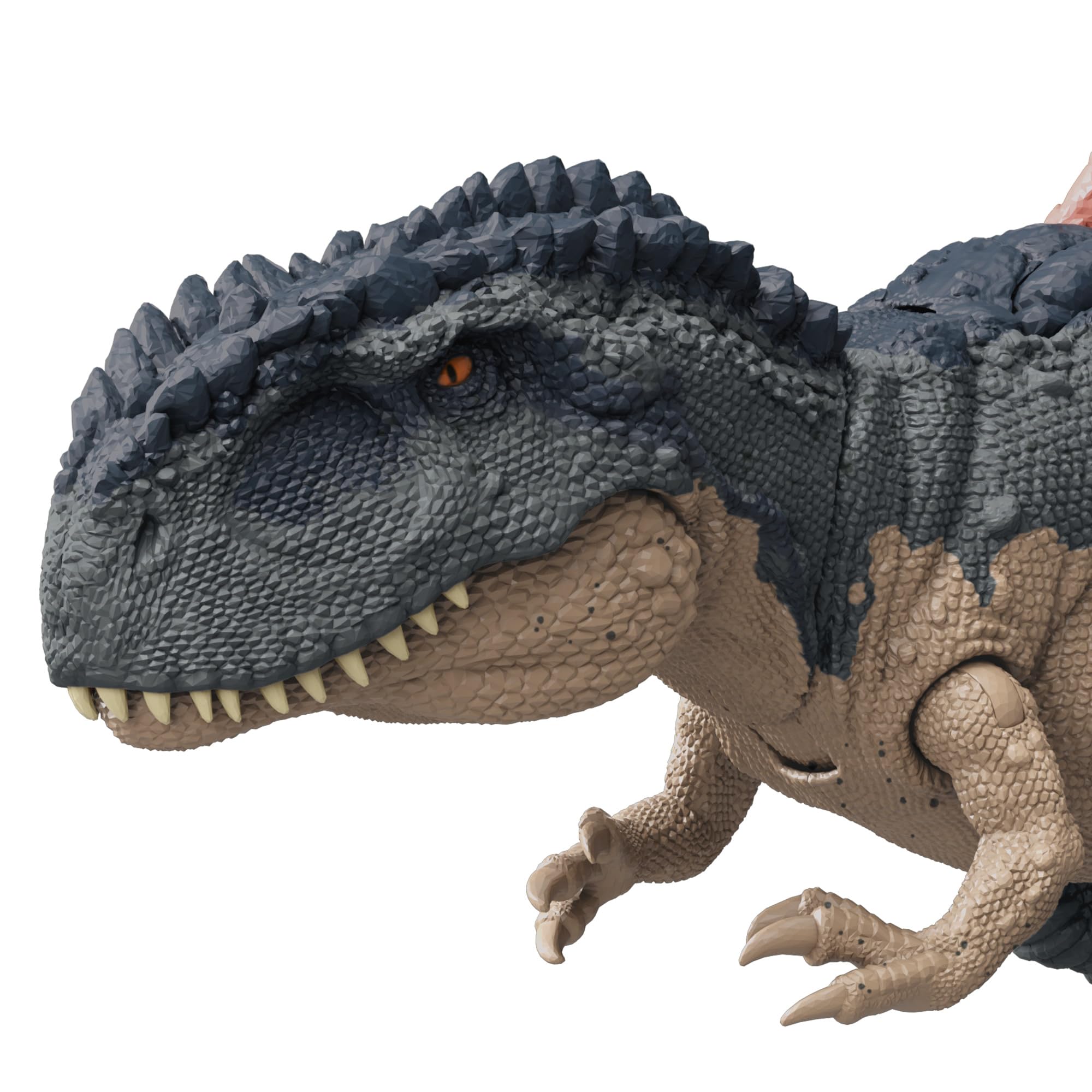 Mattel Jurassic World Mapusaurus large thirteen-point-eight-inch size makes it a standout centerpiece for playrooms.