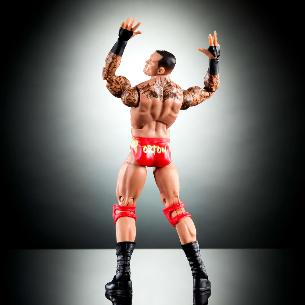 Mattel Orton packaging and accessories included for collection