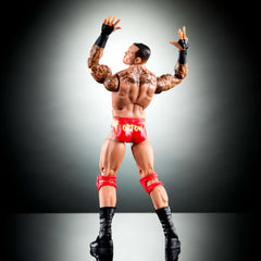 Mattel Orton packaging and accessories included for collection