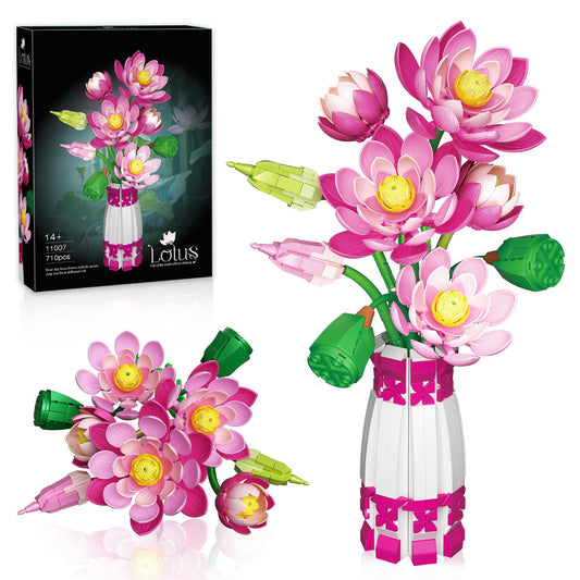 Mavo brix lotus bud stage for elegant indoor display