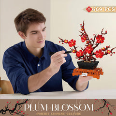 Mavo brix Plum Blossom Building Set instruction manual aids easy assembly and exploration.