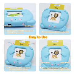 MAYAPHILOS preschool learning cards with storage bag enable learning on the go.