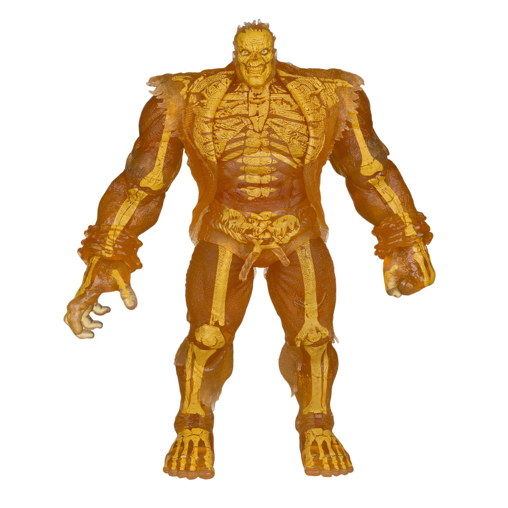 DC Multiverse packaging box by McFarlane Toys for collector display.