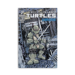 McFarlane Toys Page Punchers packaging supports TMNT cross-series collecting.