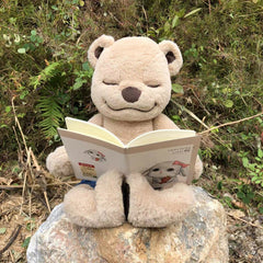 Meddy Teddy soft fabric, inviting safe and comforting playtime.