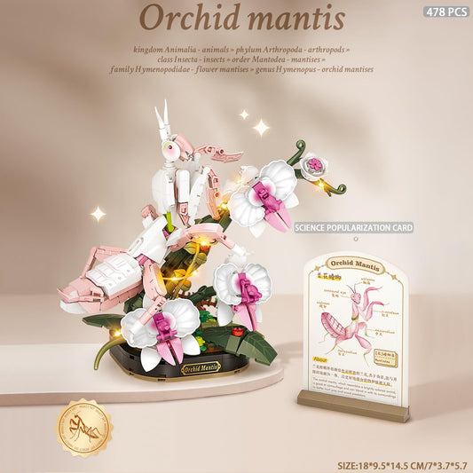 MEIEST insect-flower construction showing colorful bricks for creative display and hands-on building