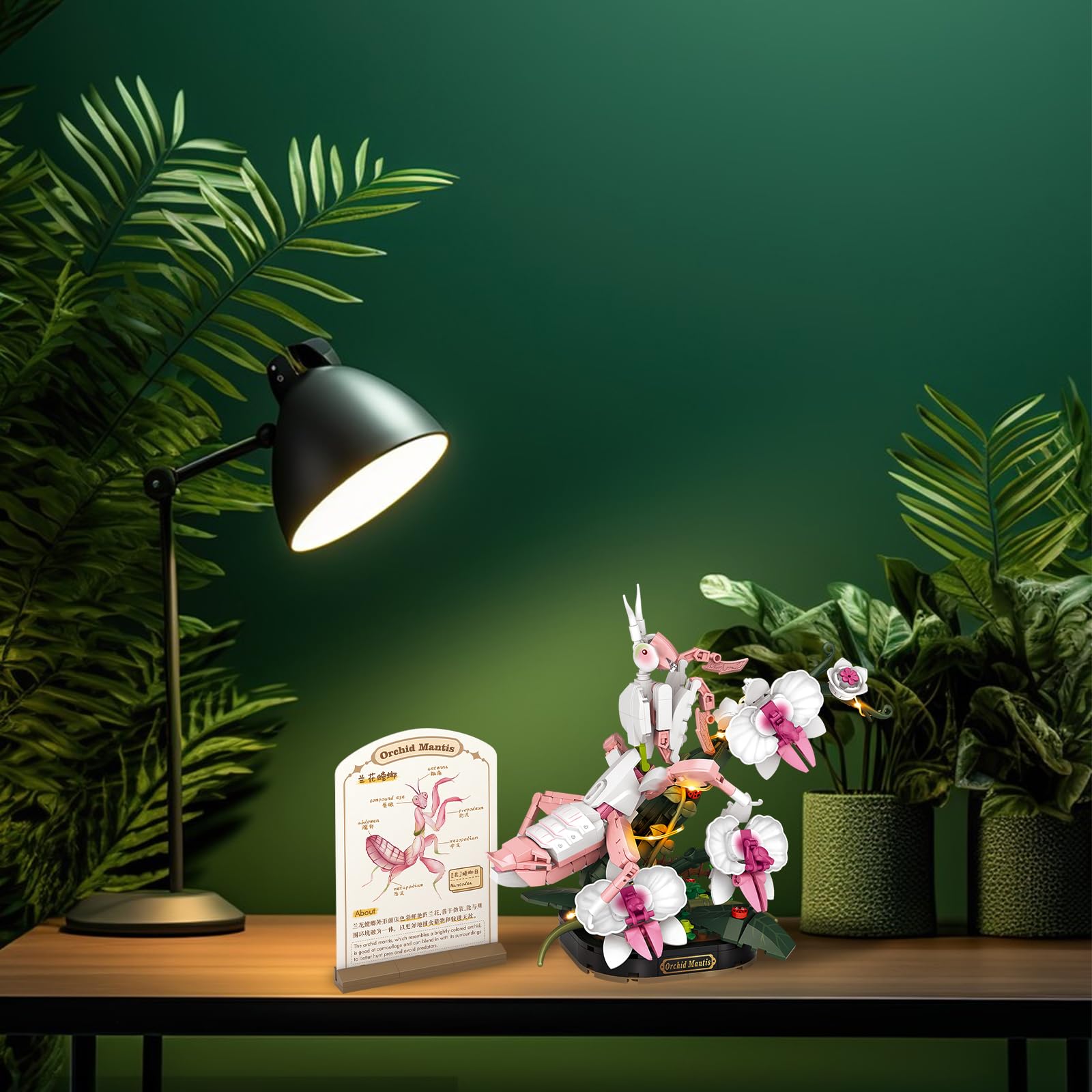 MEIEST lighting-enabled model can glow softly as a night light