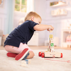 Colorful letters, numbers and pictures on blocks support vocabulary building