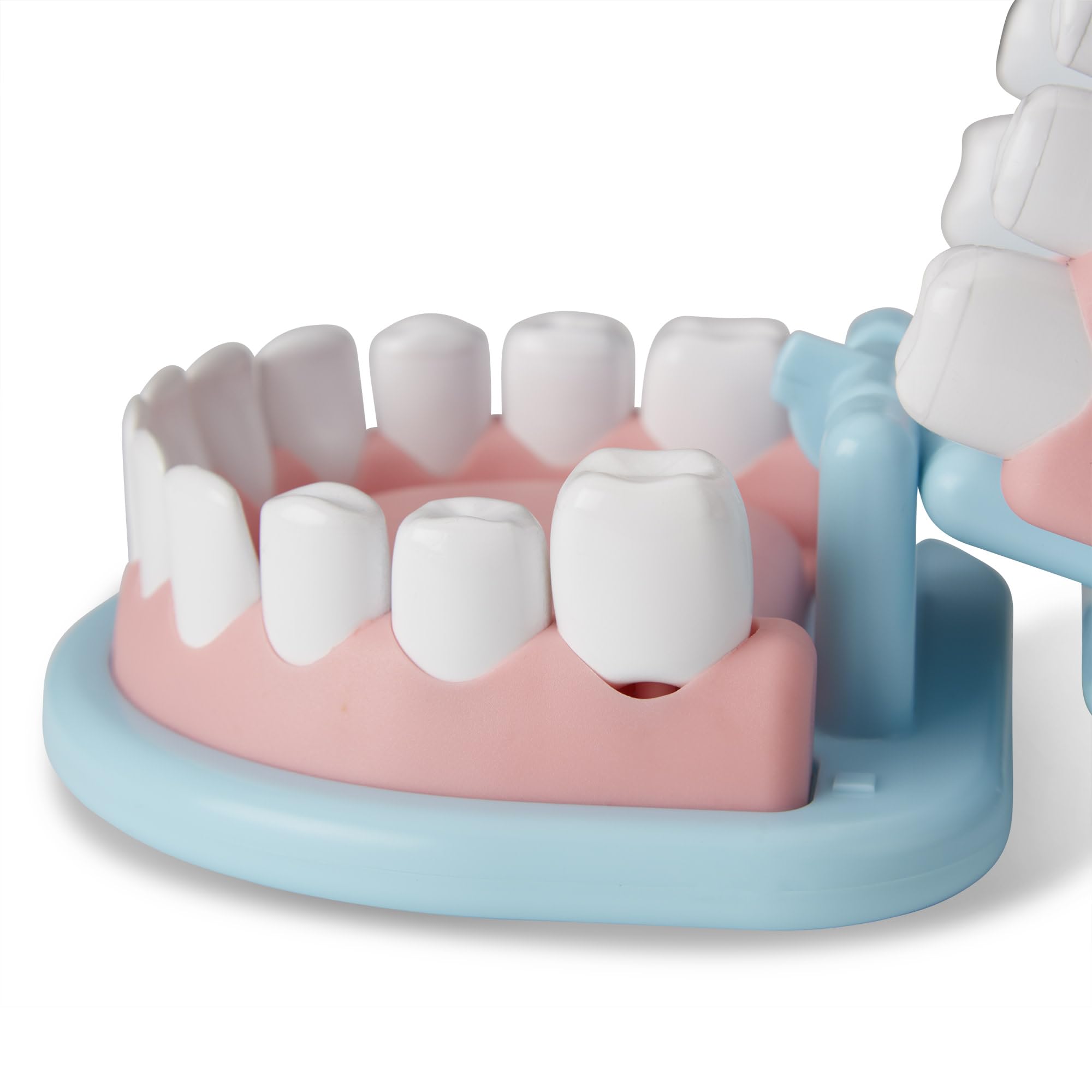 Melissa and Doug cavity stickers invite pretend treatment and reward-based learning