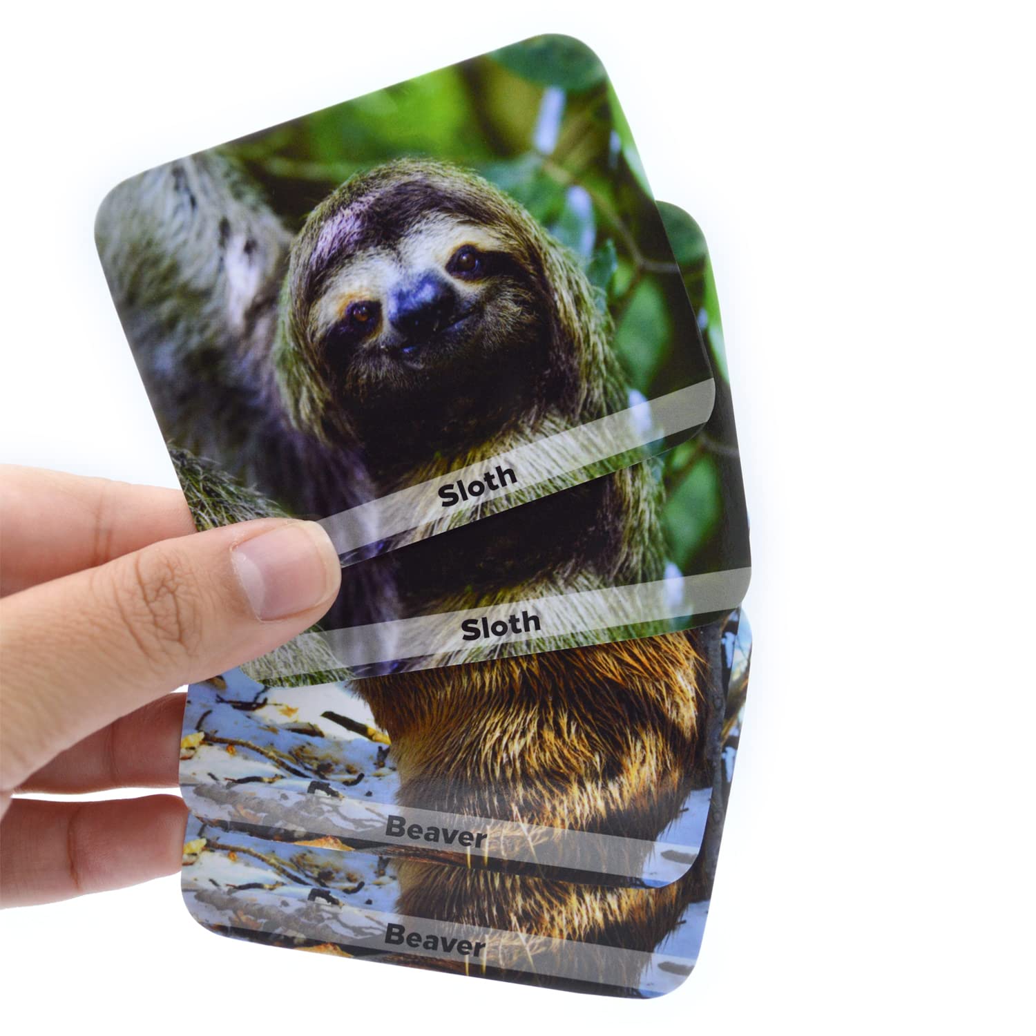 Menique eco-friendly materials with sustainable paper and veggie inks.