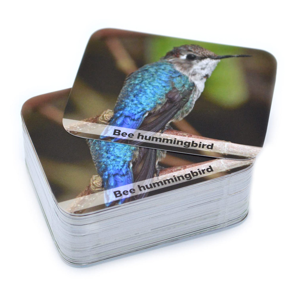 Menique Green Partner certified production supports fair labor and planet care.