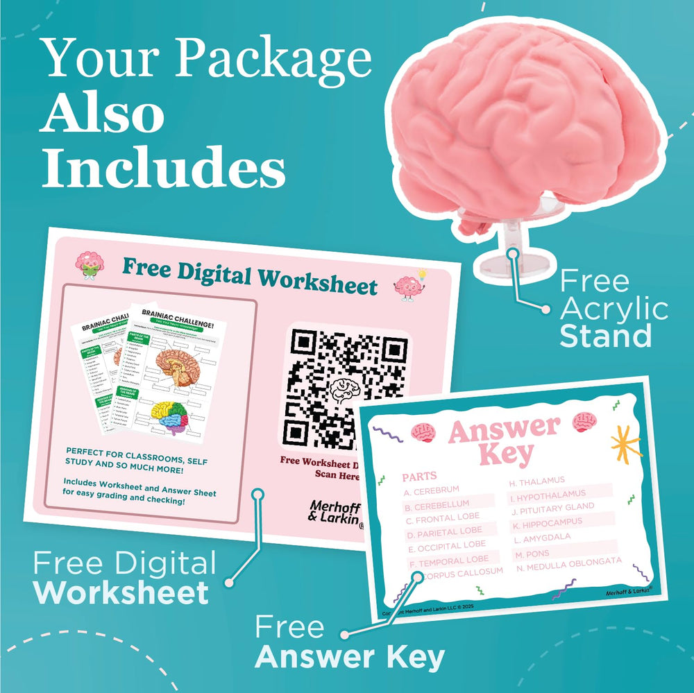 Ideal for teachers and clinicians in classrooms or clinics.