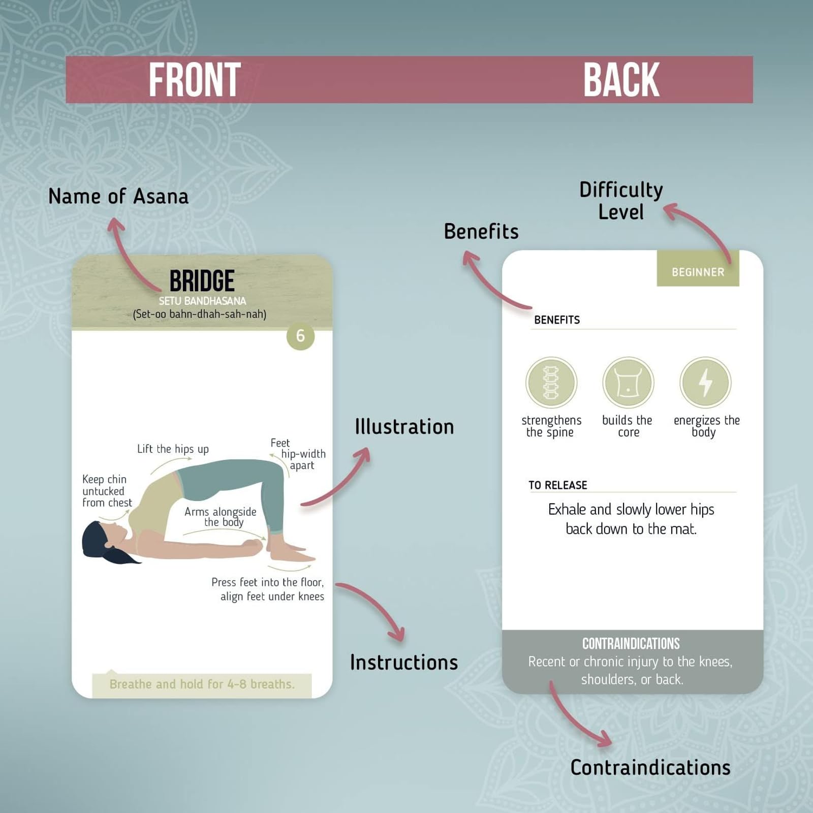 Merka Yoga Cards durable plastic construction for long-lasting reference.