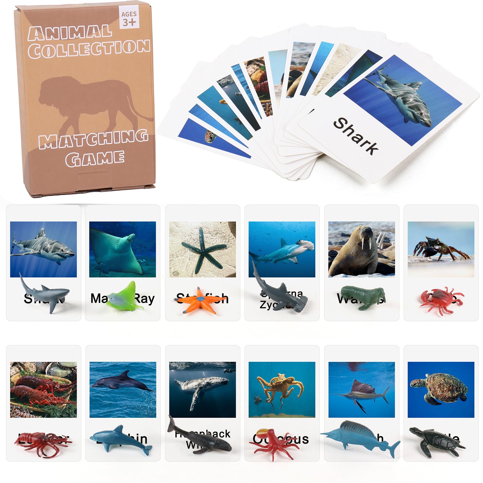 MEROCO Montessori animal match cards show marine animals for word recognition practice.