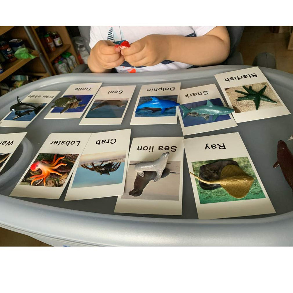 MEROCO plastic animal objects provide tactile play during learning sessions.