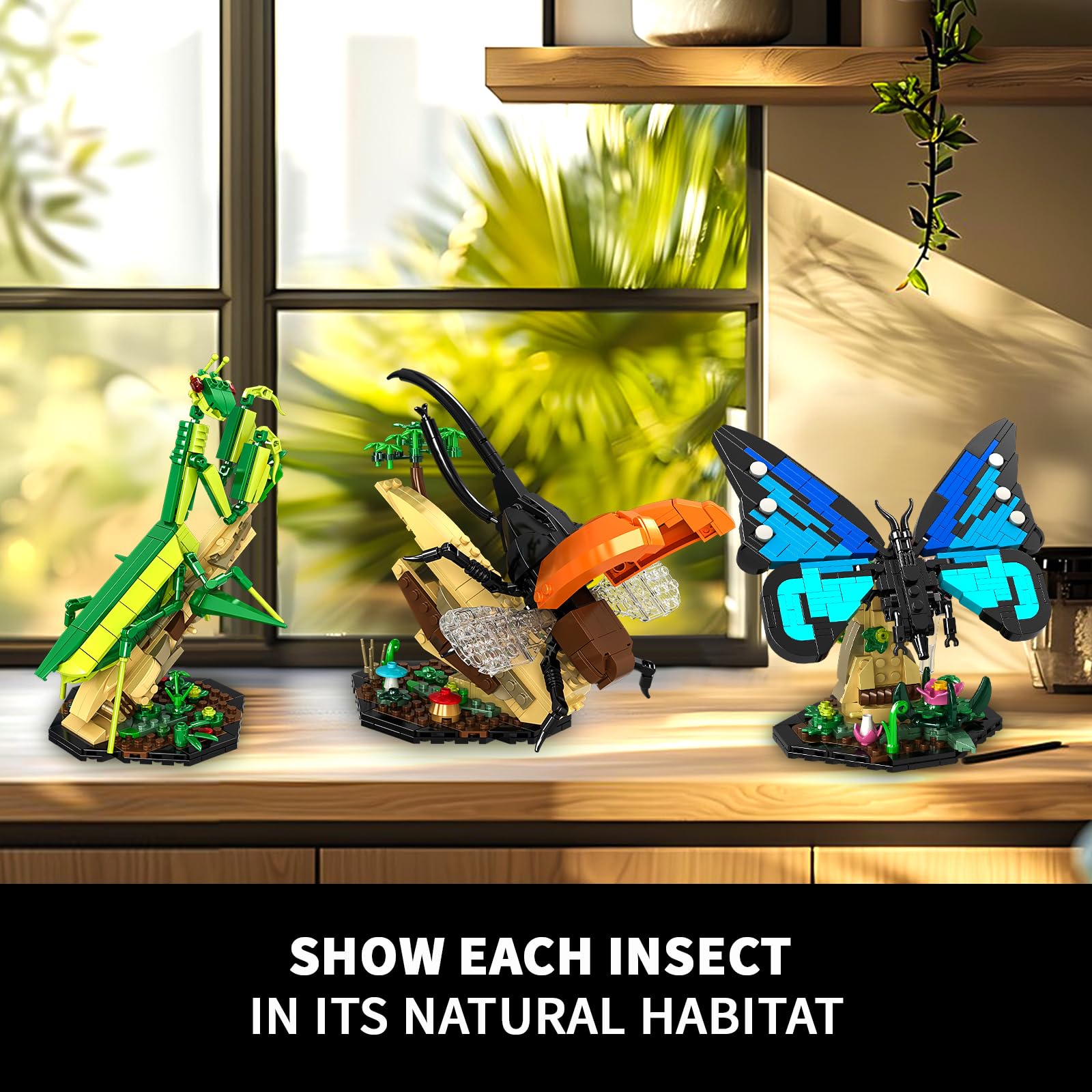 mesproud home-office decor insect display adds a stylish natural touch.