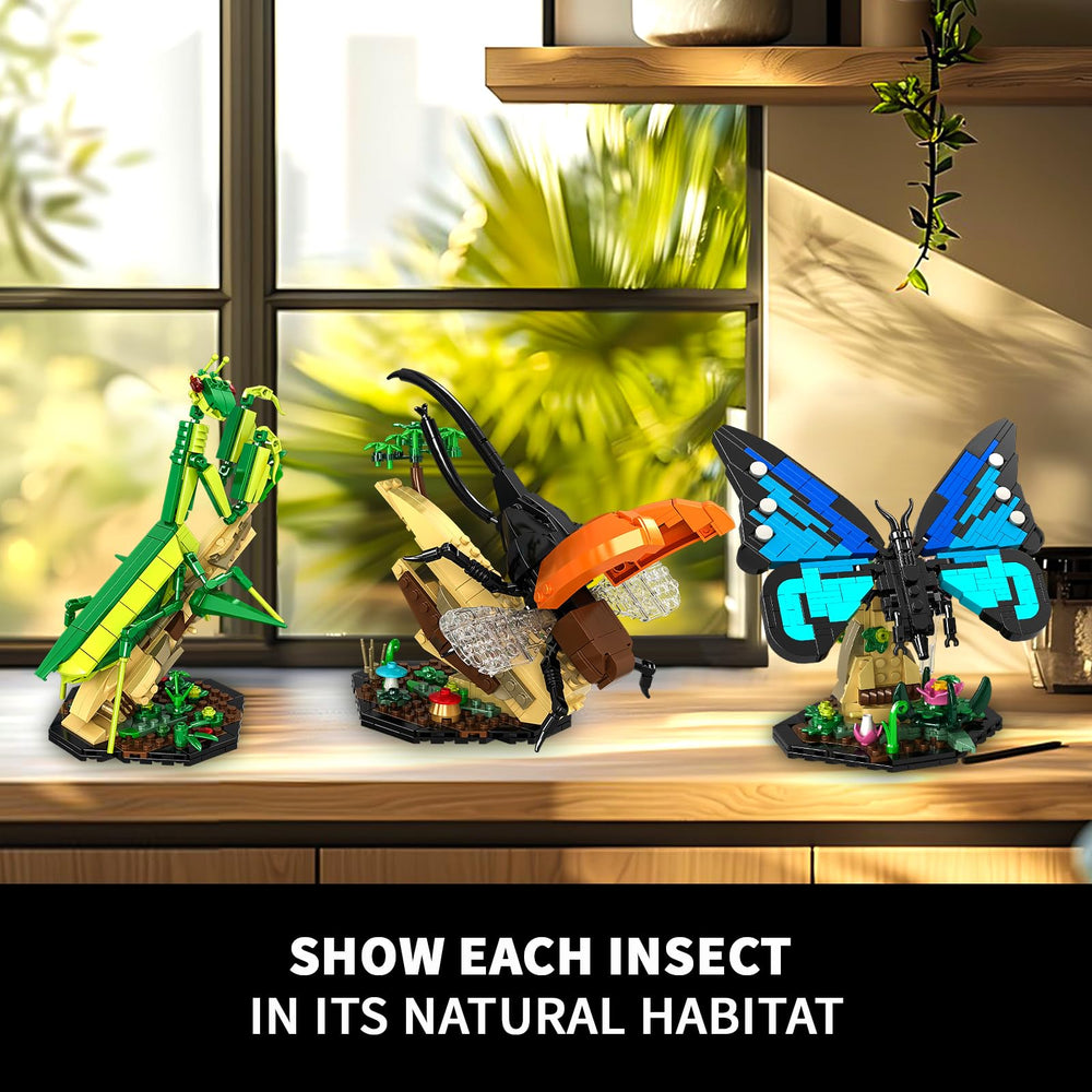 mesproud home-office decor insect display adds a stylish natural touch.