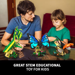 mesproud insect collection praying mantis model for desk decor and nature study.