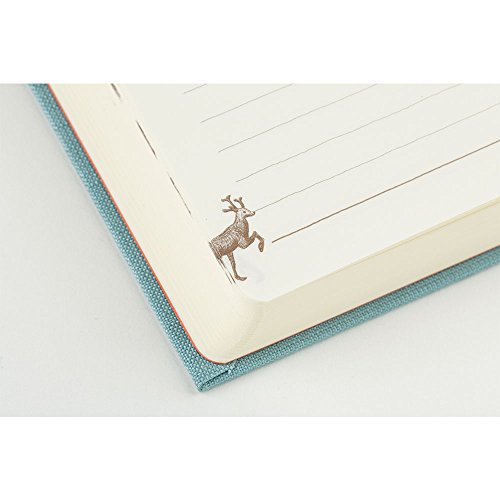 Midori Phil Design 3-years diary open view highlighting layout and spacing