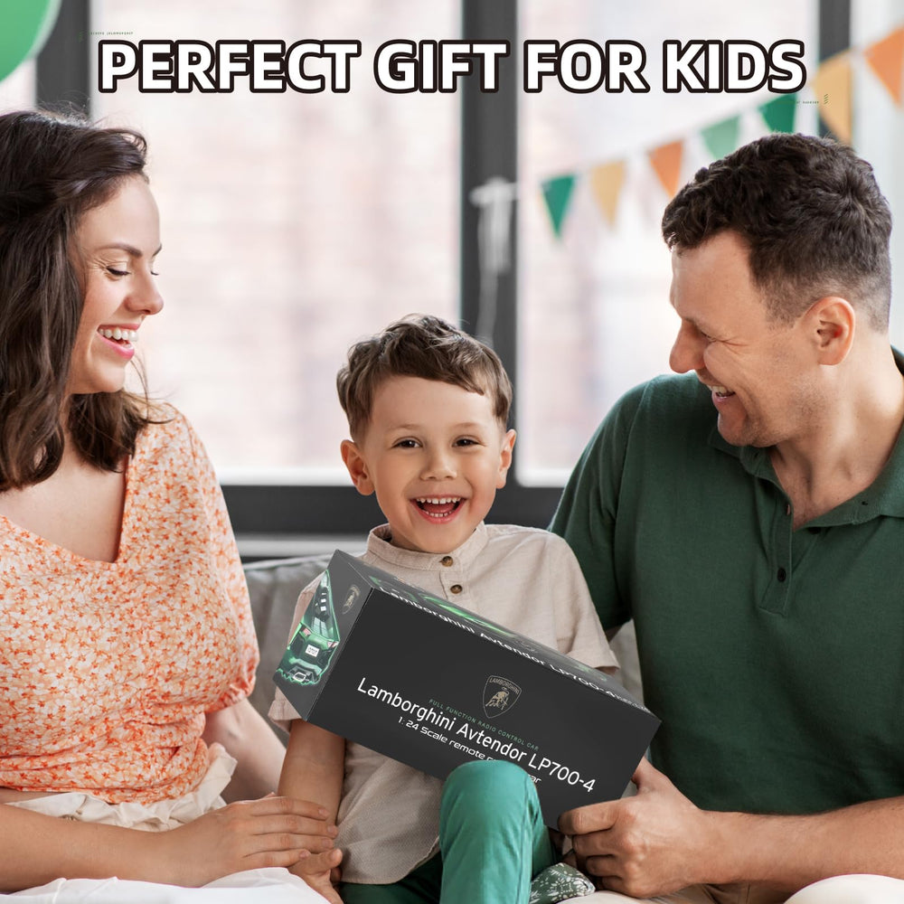 MIEBELY gift-ready LP700 car for kids and adults.