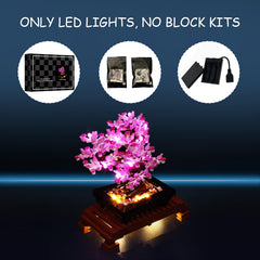 Mililier LED light kit supports safe operation with low-voltage power