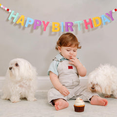 Mindsoft reusable birthday banner saves storage space after celebrations