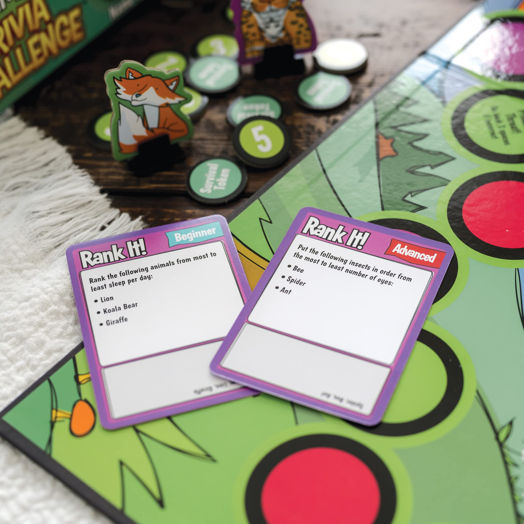 MindWare card graphics provide clear visuals for Know It and Rank It questions.