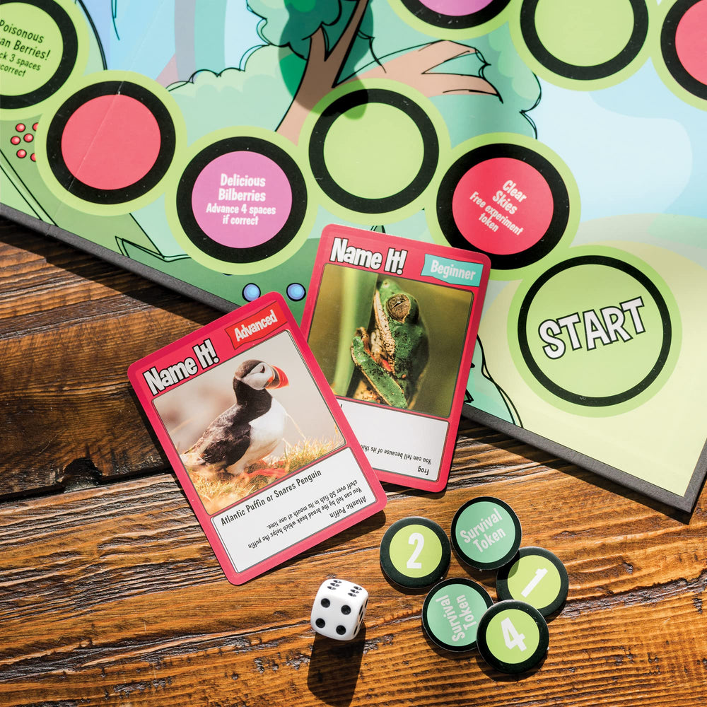MindWare instruction manual guides players through flexible rules and levels.