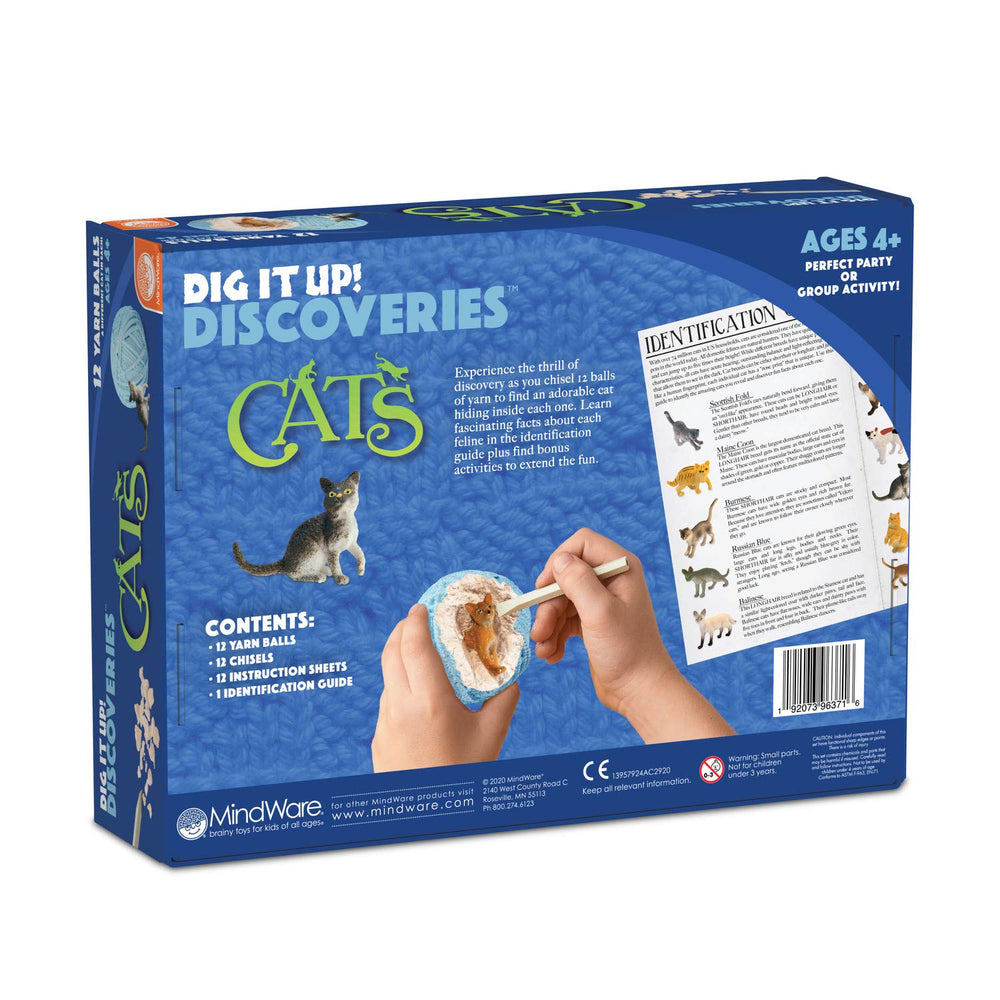 MindWare Dig It Up Cats classroom group activity for parties