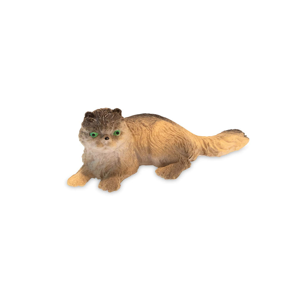 MindWare Dig It Up Cats soak and chisel process reveals surprises