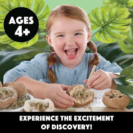 Chisel tools from MindWare Dig It Up! set for precise shell removal