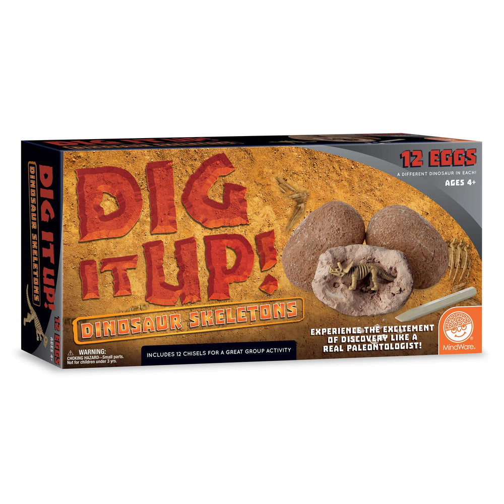 MindWare Dig It Up! classroom-friendly activity setup
