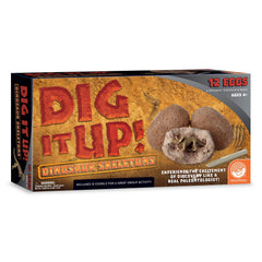 MindWare Dig It Up! classroom-friendly activity setup