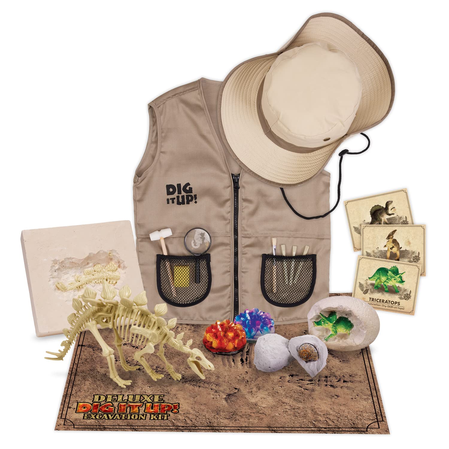 MindWare Dig It Up Deluxe Jurassic rocks with fossils invite young detectives to examine clues