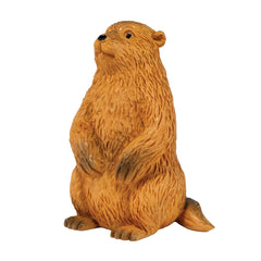 MindWare Dig it Up educational guidebook supports learning with woodland facts.
