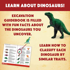 MindWare Dig It Up excavation guidebook; learn classification tips and diorama ideas.