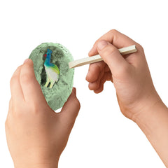 MindWare Dig It Up! excavation guidebook supports learning about animals and habitats.