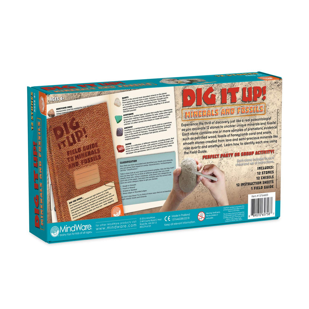 MindWare Dig It Up! classroom activity encourages teamwork and exploration.