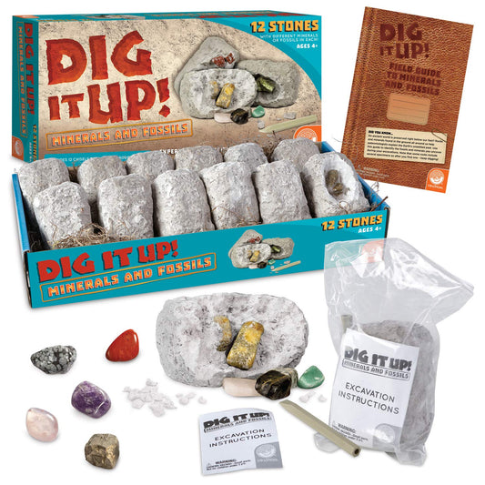 MindWare Dig It Up! clay stone soaking to reveal fossils and minerals.
