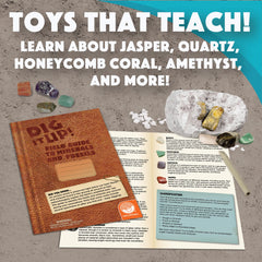 MindWare Dig It Up! Excavation Guidebook offers fun facts for learning.