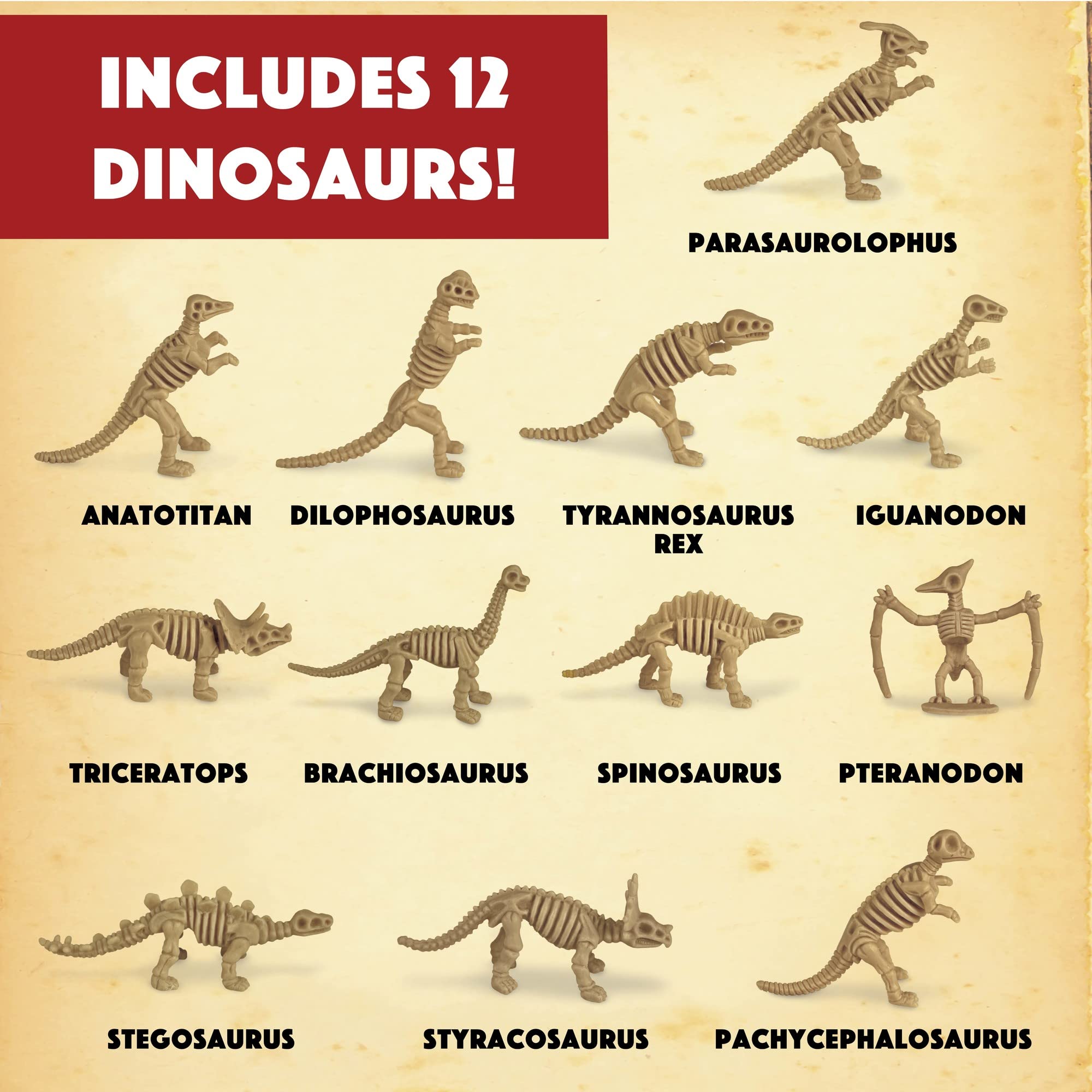 12 instruction sheets for MindWare Dig It Up! explorations