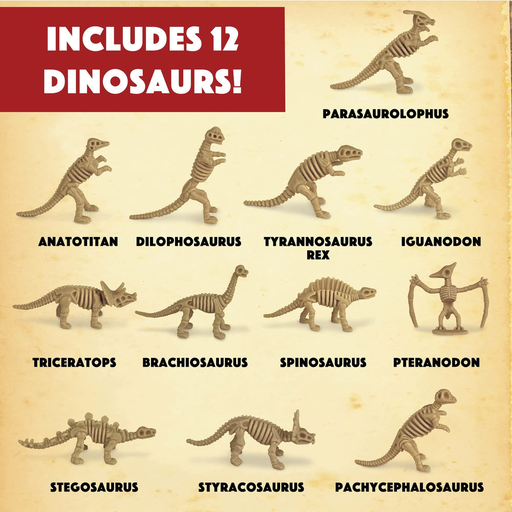 12 instruction sheets for MindWare Dig It Up! explorations