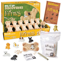 MindWare Dig It Up! bones reveal hidden puppies through hands-on digging.