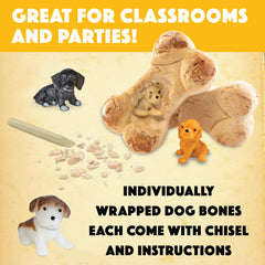 MindWare Dig It Up! excavation guidebook explains puppy traits for learning.