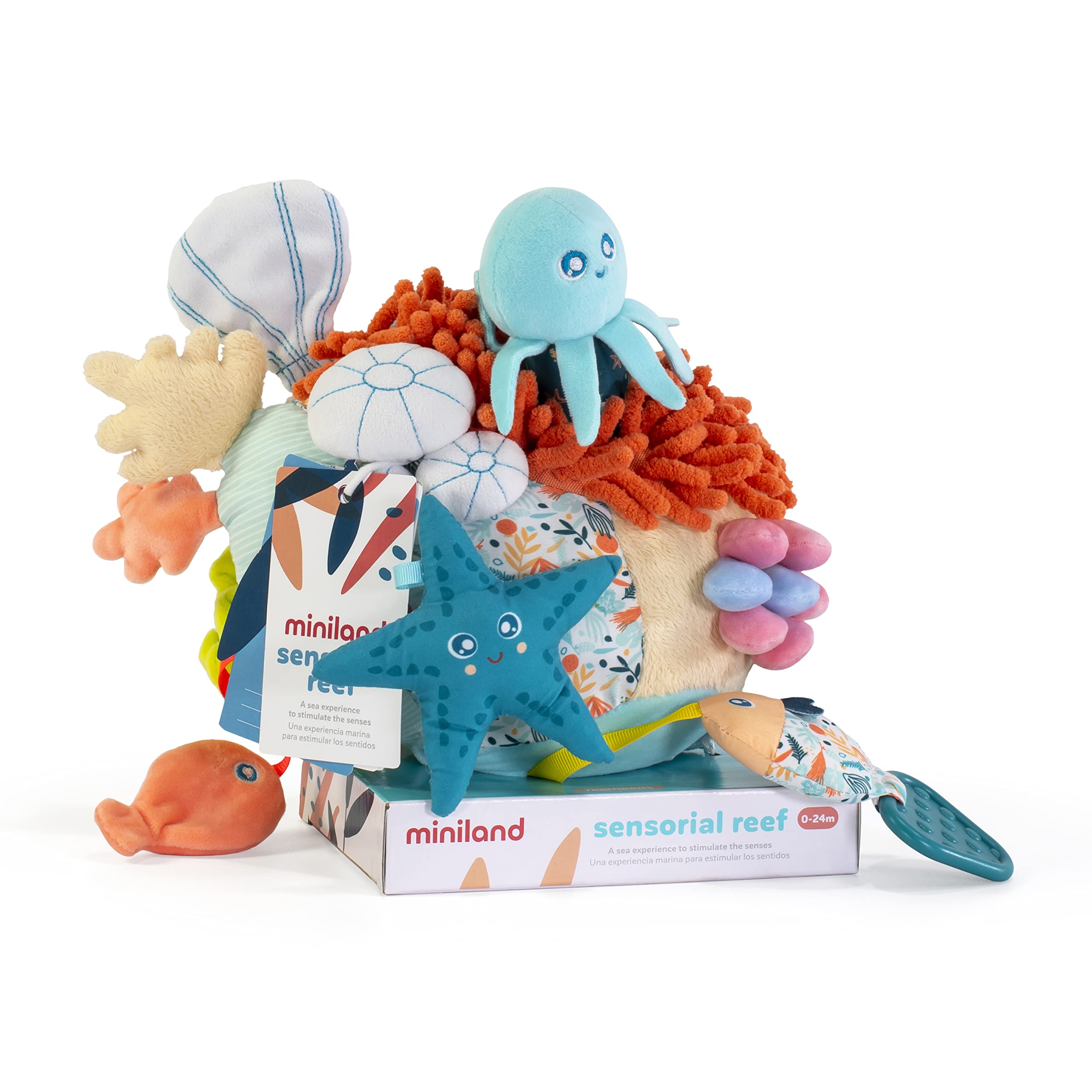 Miniland Sensorial Reef teether with varied textures for soothing gums.