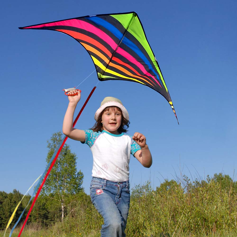 Mint's Colorful Life Delta Kite 300ft string with handle for long sky reach