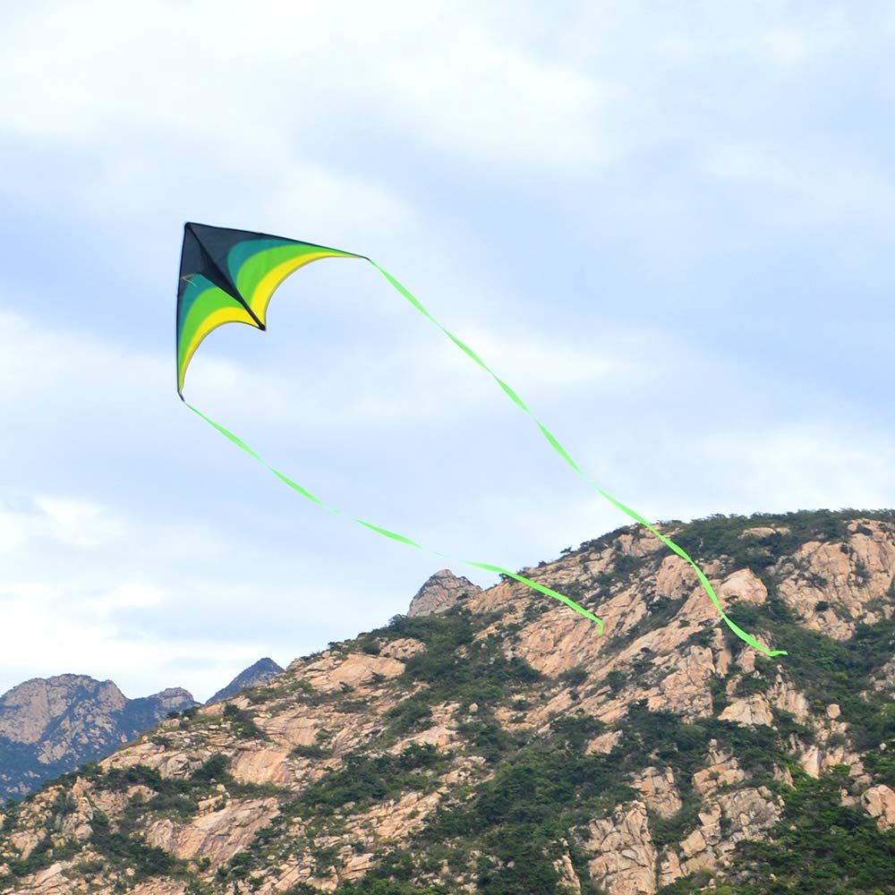 Delta Kite ideal for beach days and family outdoor time with kids
